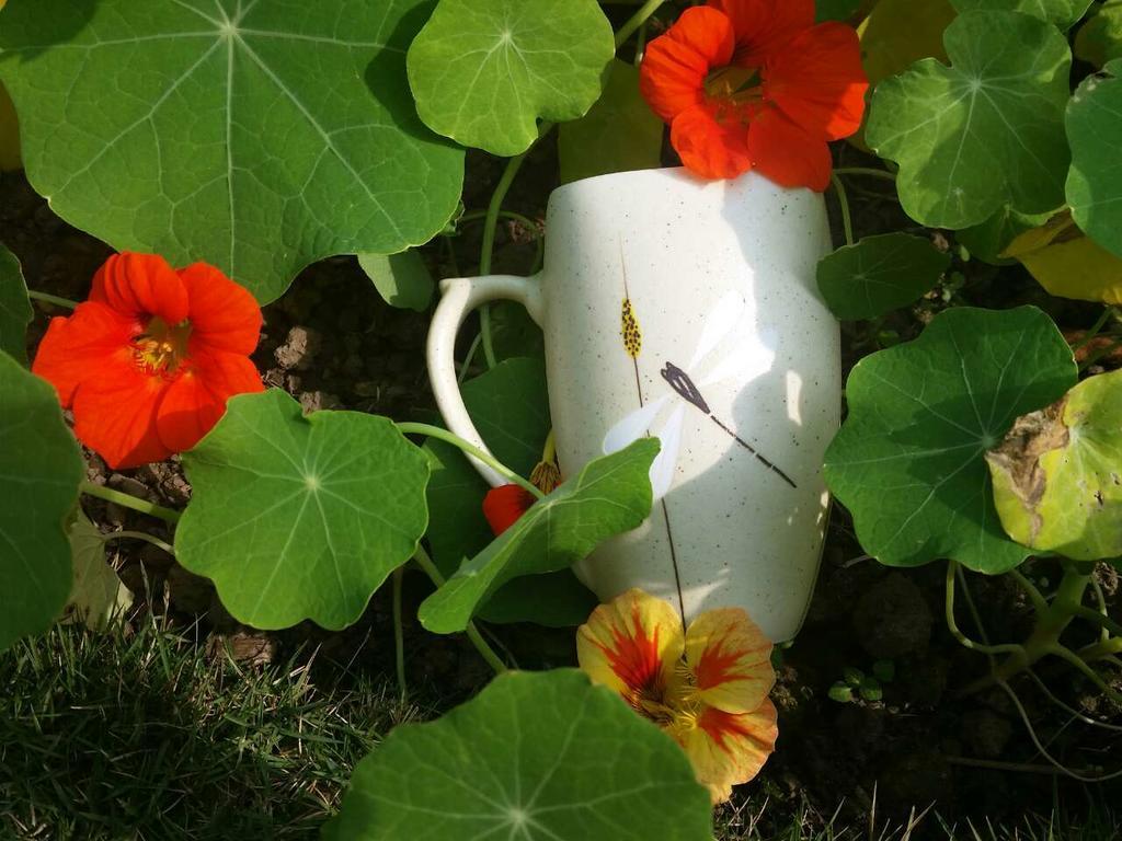 Mingtang Garden Cottage 名堂花园度假屋 โพคารา ภายนอก รูปภาพ