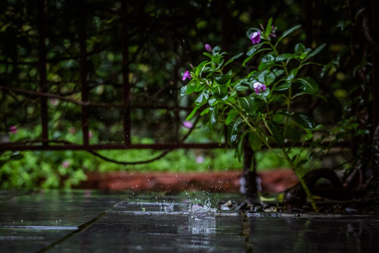 Mingtang Garden Cottage 名堂花园度假屋 โพคารา ภายนอก รูปภาพ