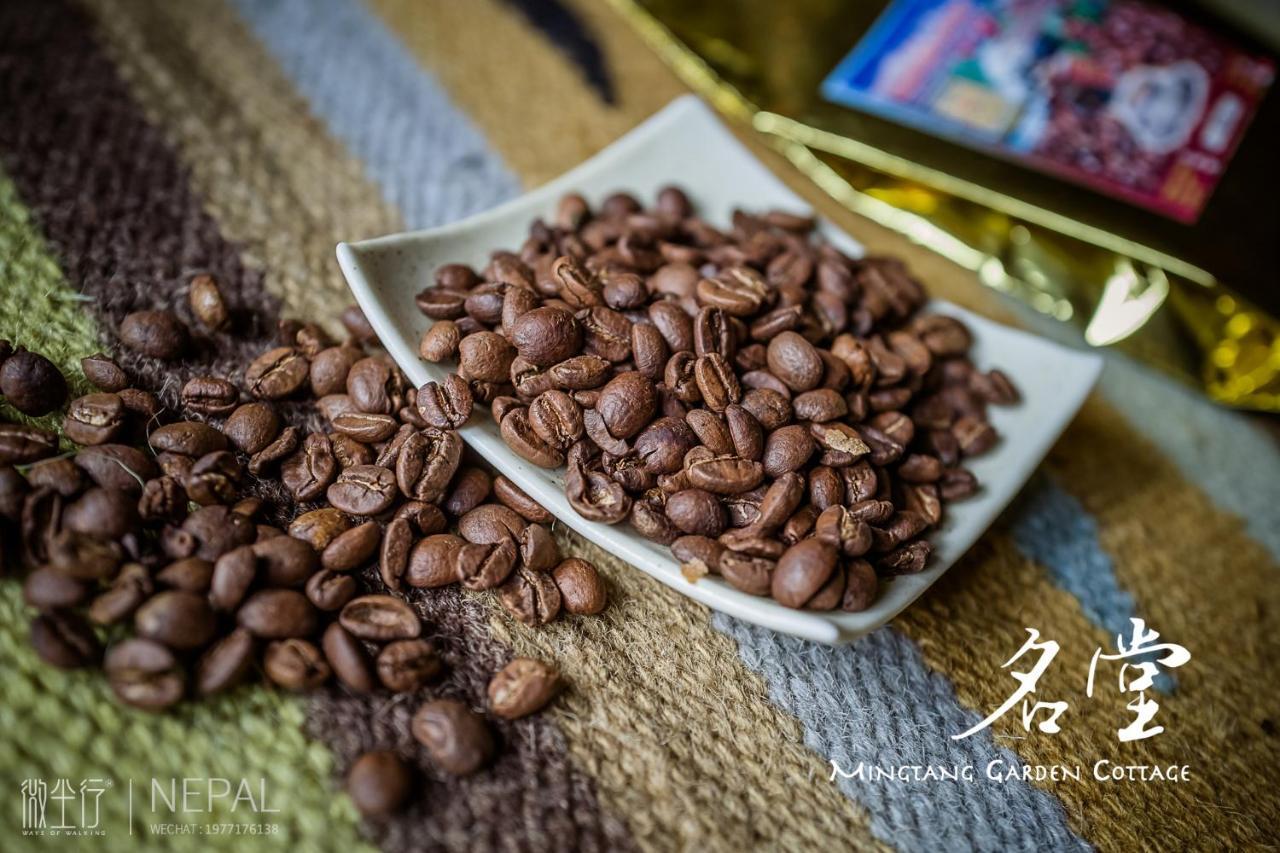Mingtang Garden Cottage 名堂花园度假屋 โพคารา ภายนอก รูปภาพ
