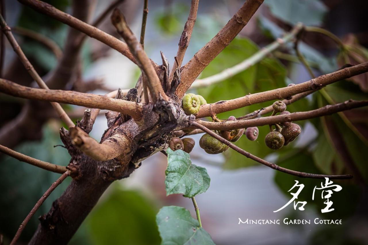 Mingtang Garden Cottage 名堂花园度假屋 โพคารา ภายนอก รูปภาพ